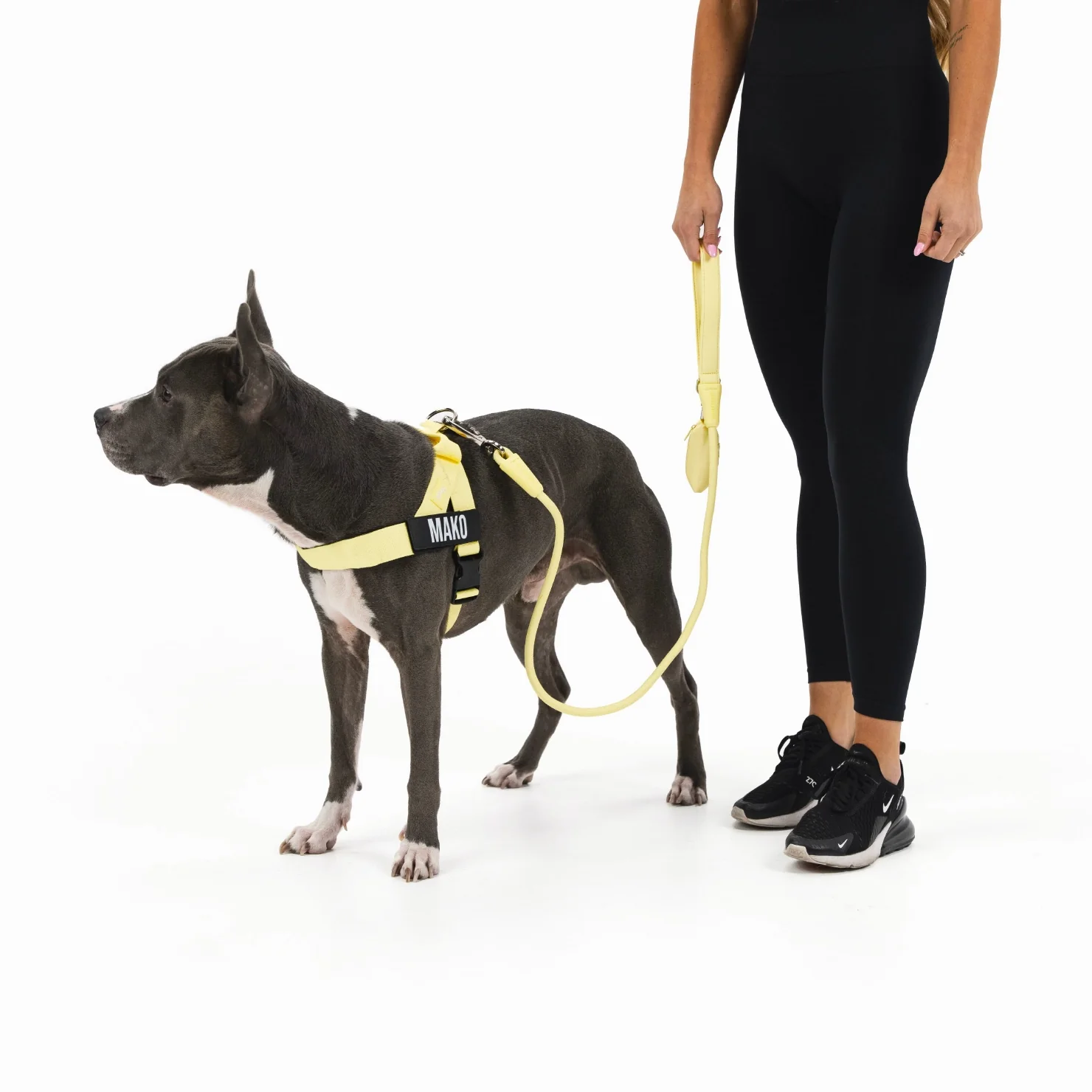 Signature Kit - Yellow - Image 12