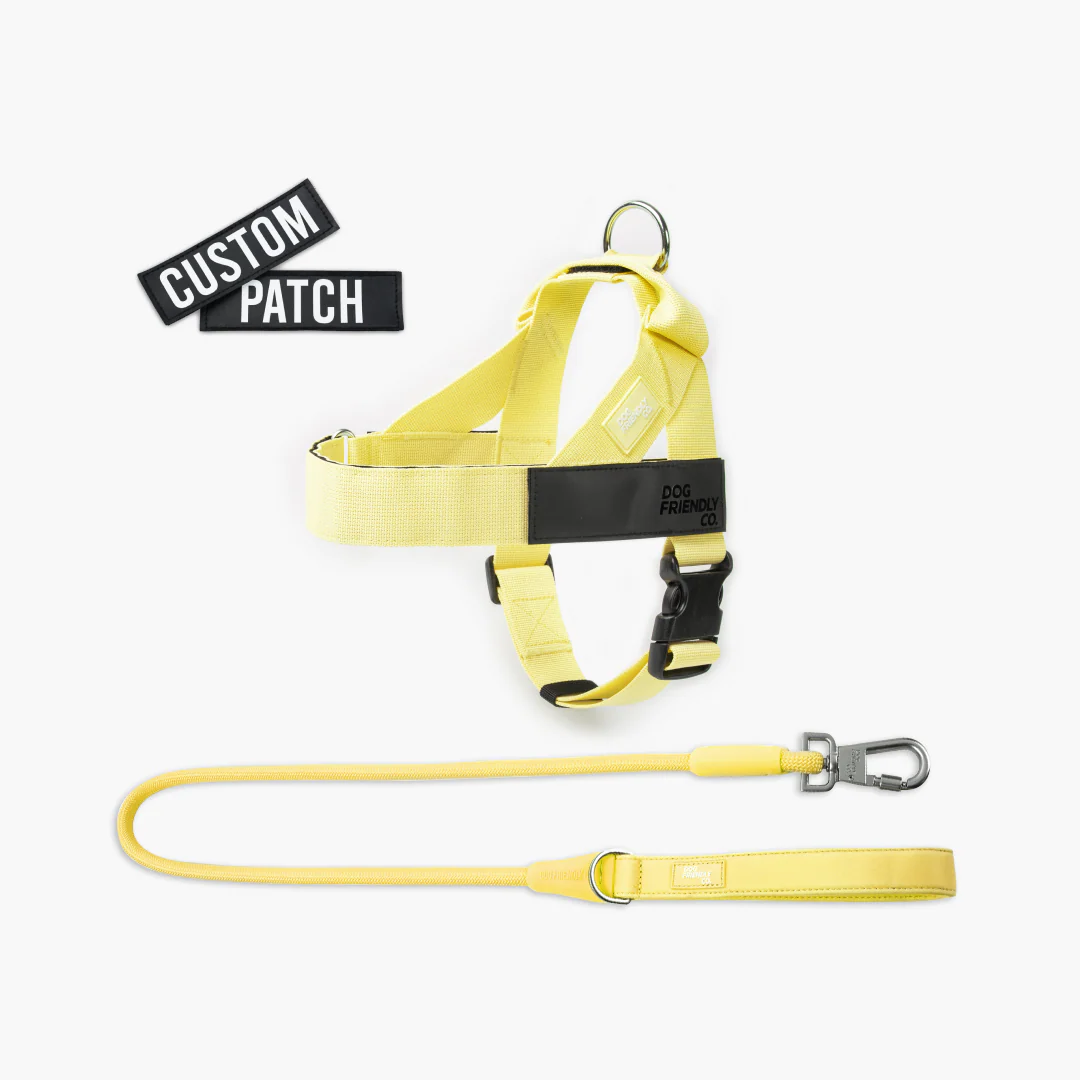 Signature Kit - Yellow - Image 16