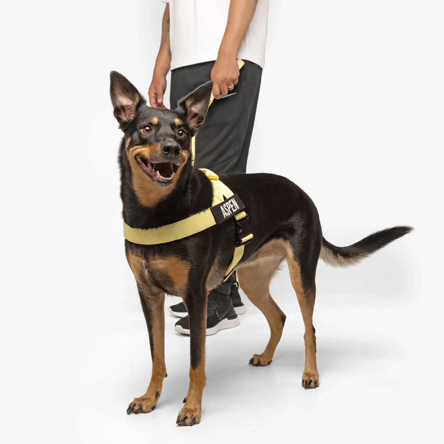 Signature Kit - Yellow - Image 4