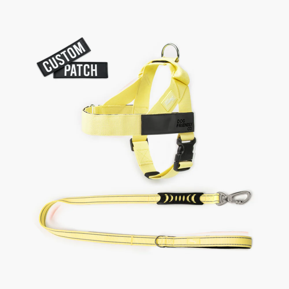 Signature Kit - Yellow - Image 9