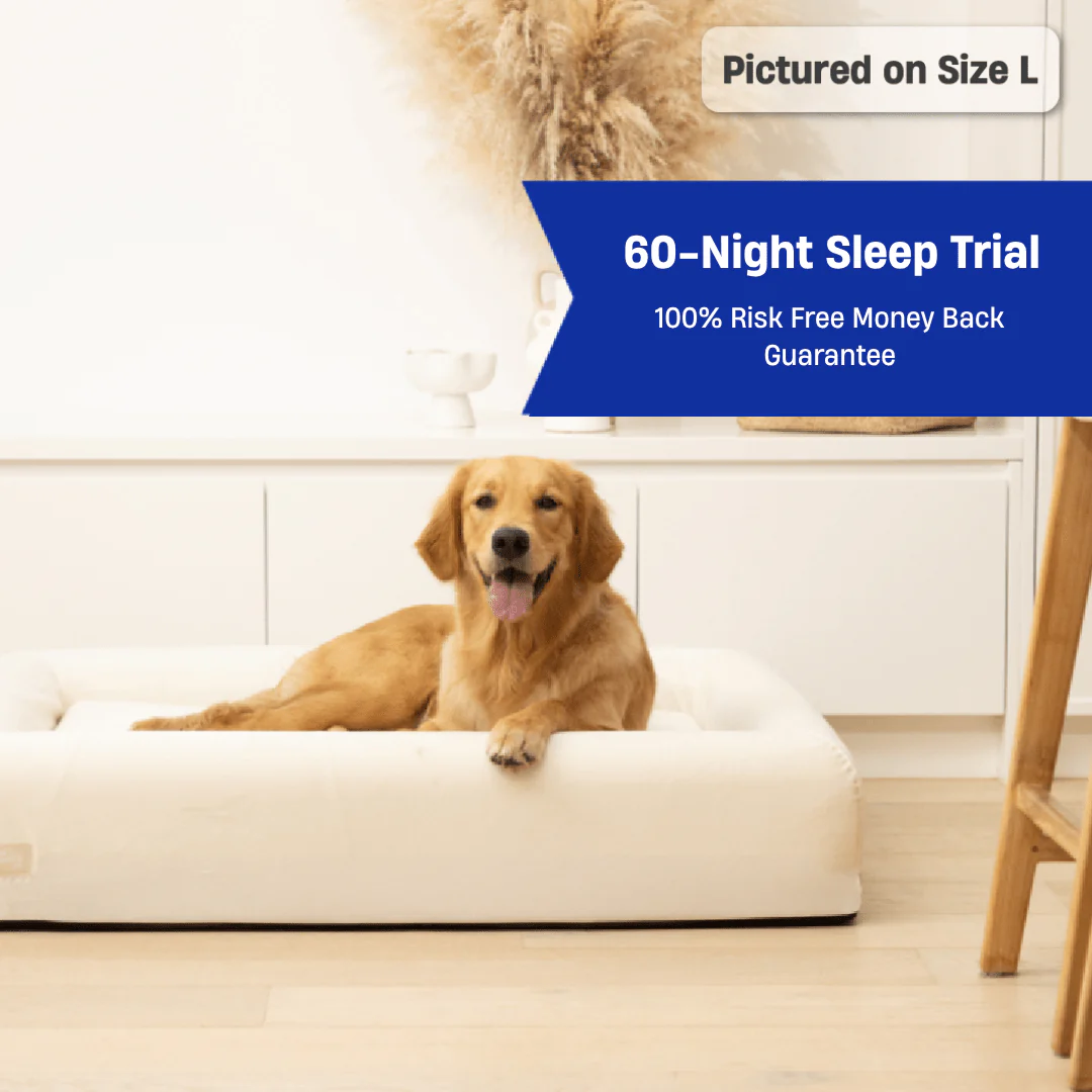 Sleep Set - Beige - Image 31