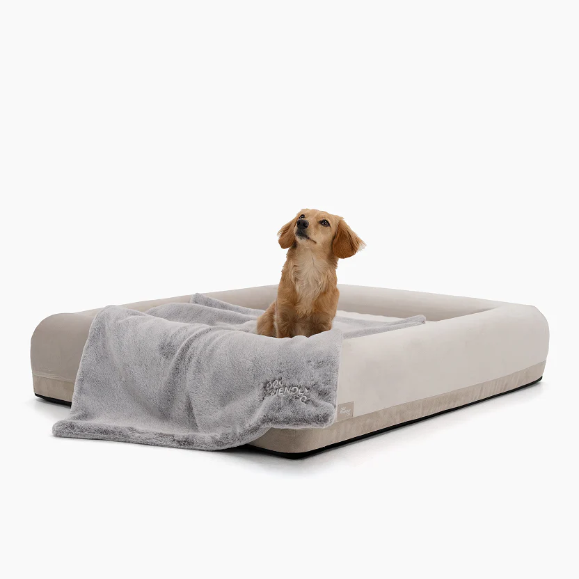 Sleep Set - Champagne - Image 21