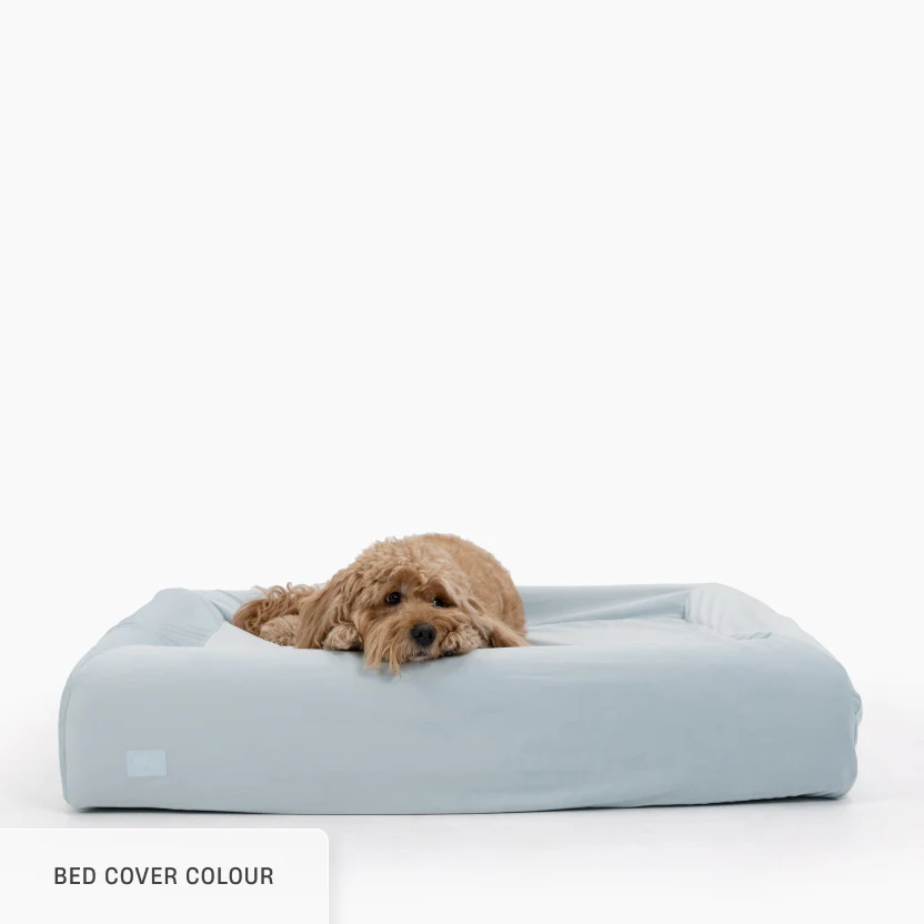 Sleep Set - Champagne - Image 29