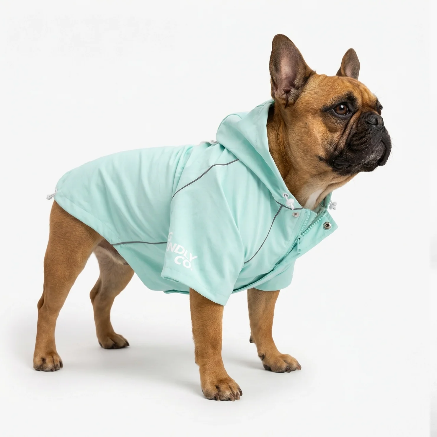 Storm Pro Raincoat - Sky Blue - Image 4