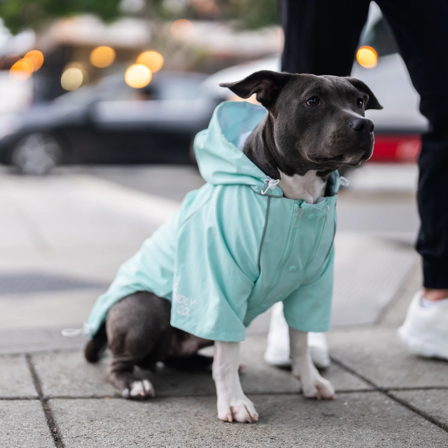 Storm Pro Raincoat - Sky Blue - Image 7