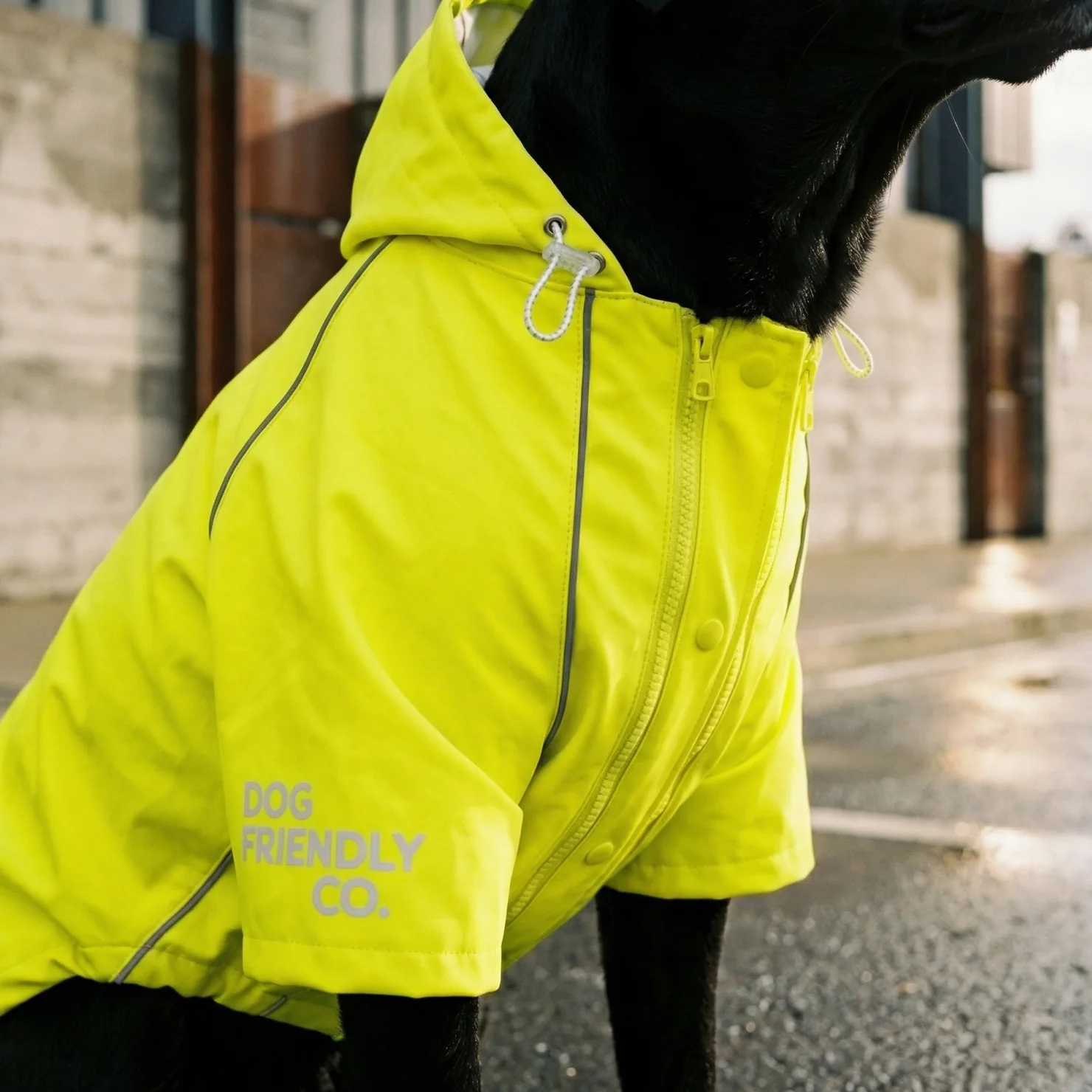 Storm Pro Raincoat - Yellow - Image 8