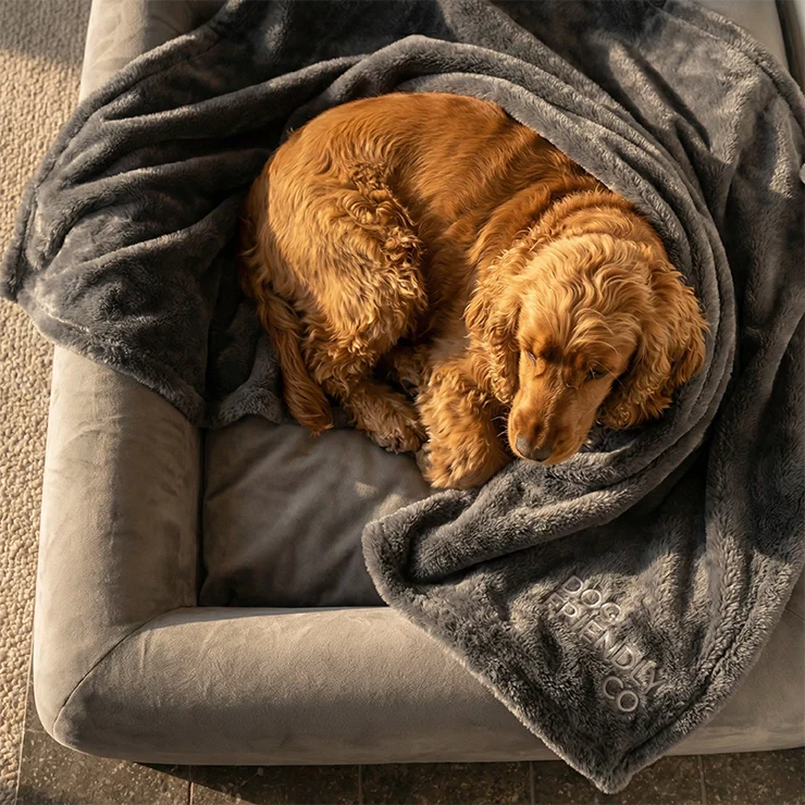 Swift Blankets - Black - Image 4