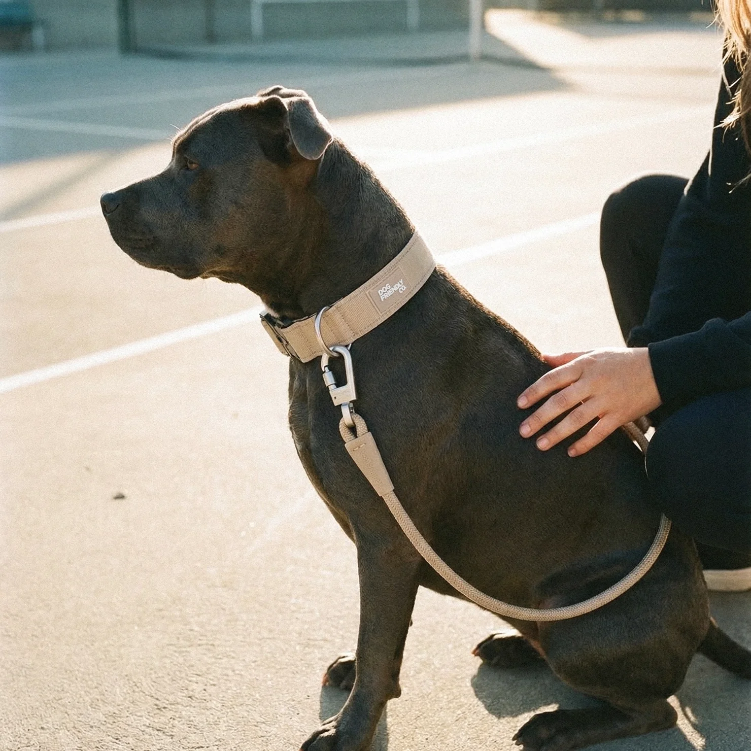 Tactical Dog Collar - Brown - Image 5