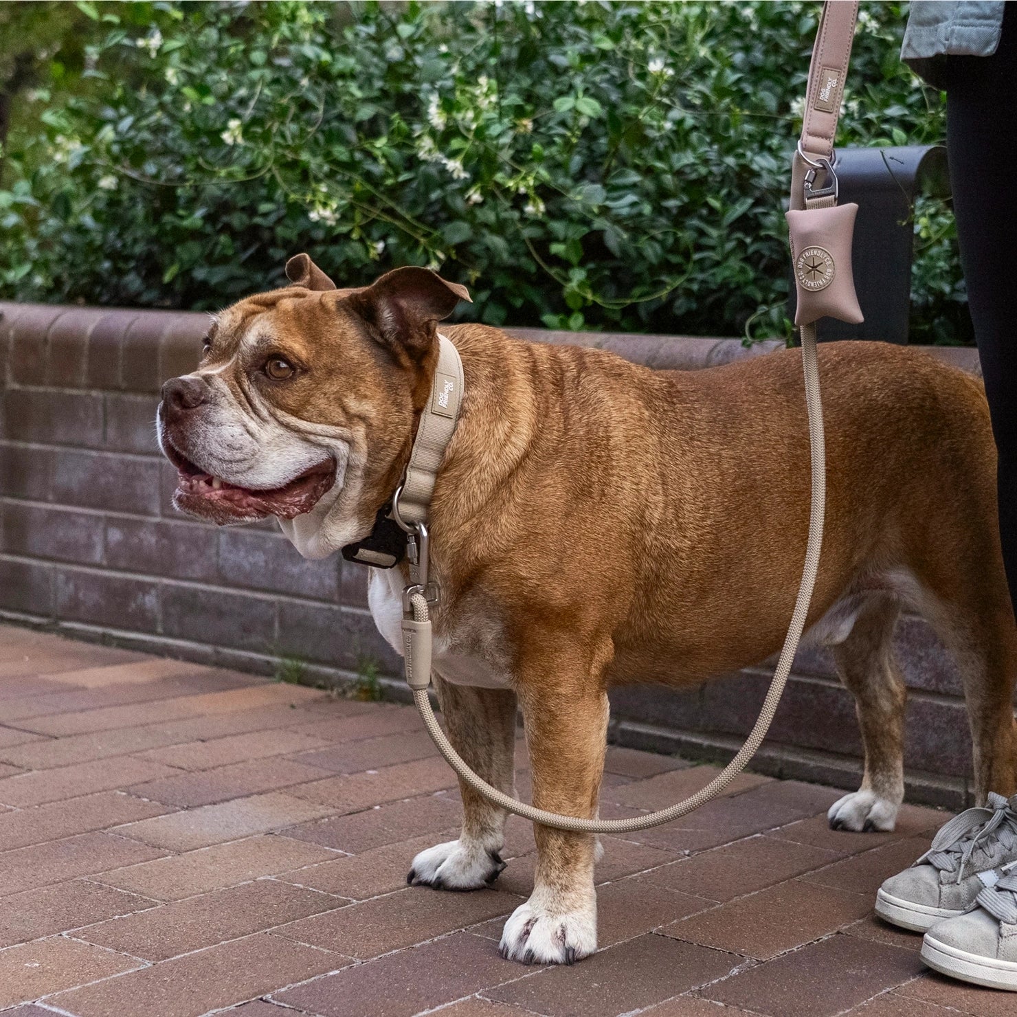 Tactical Dog Collar - Brown - Image 6