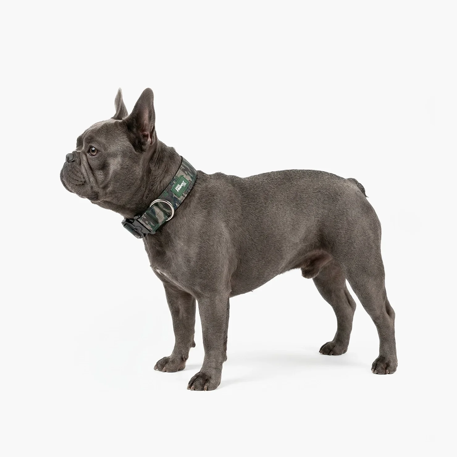 Tactical Dog Collar - Green Camo - Image 4