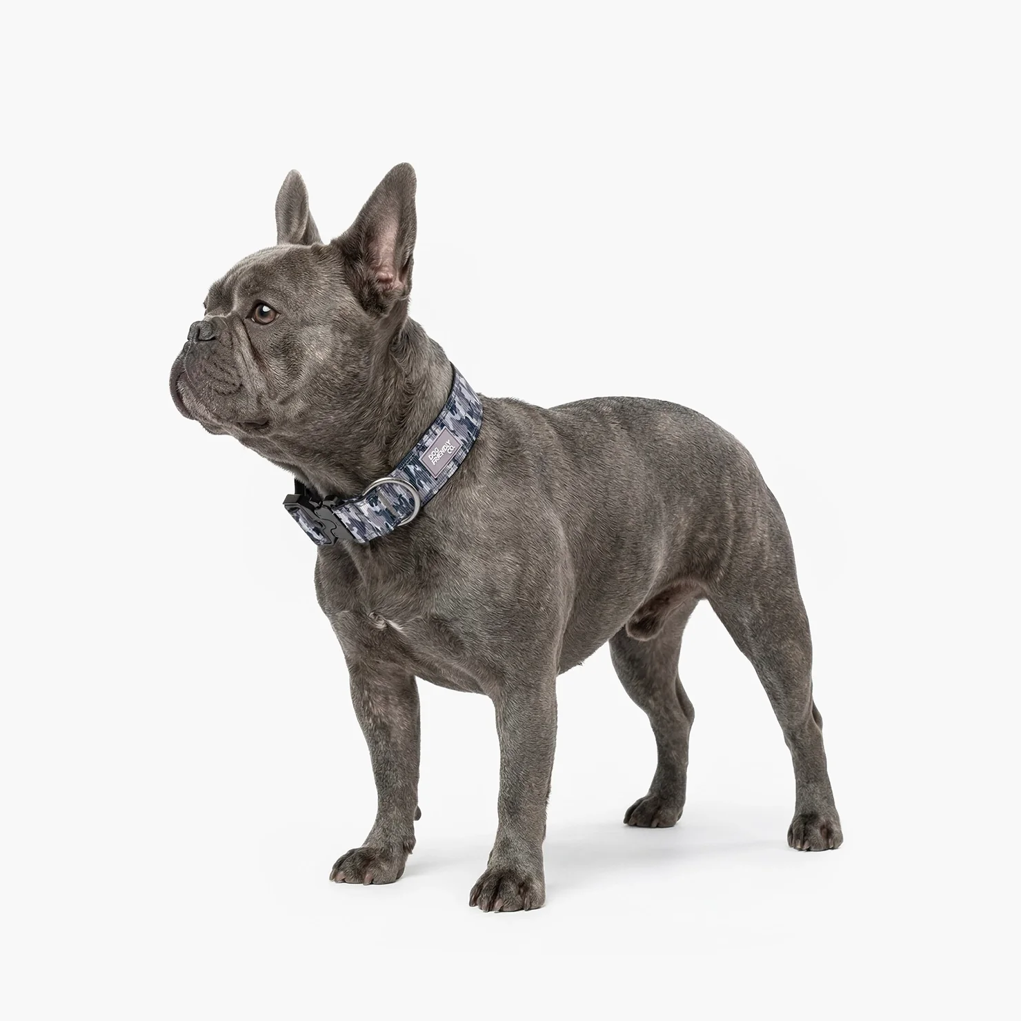 Tactical Dog Collar - Grey Camo - Image 4