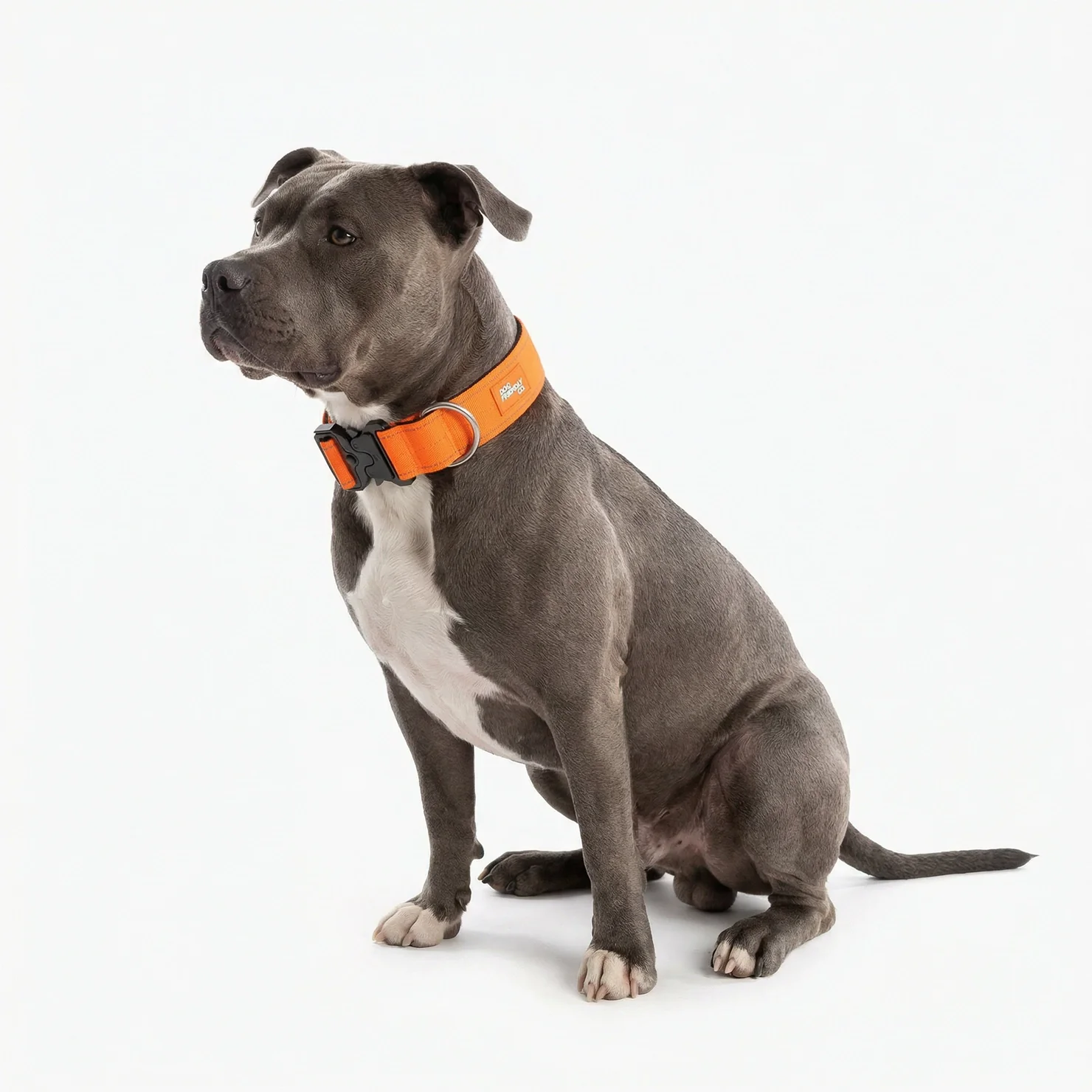 Tactical Dog Collar - Hi-vis Orange - Image 3