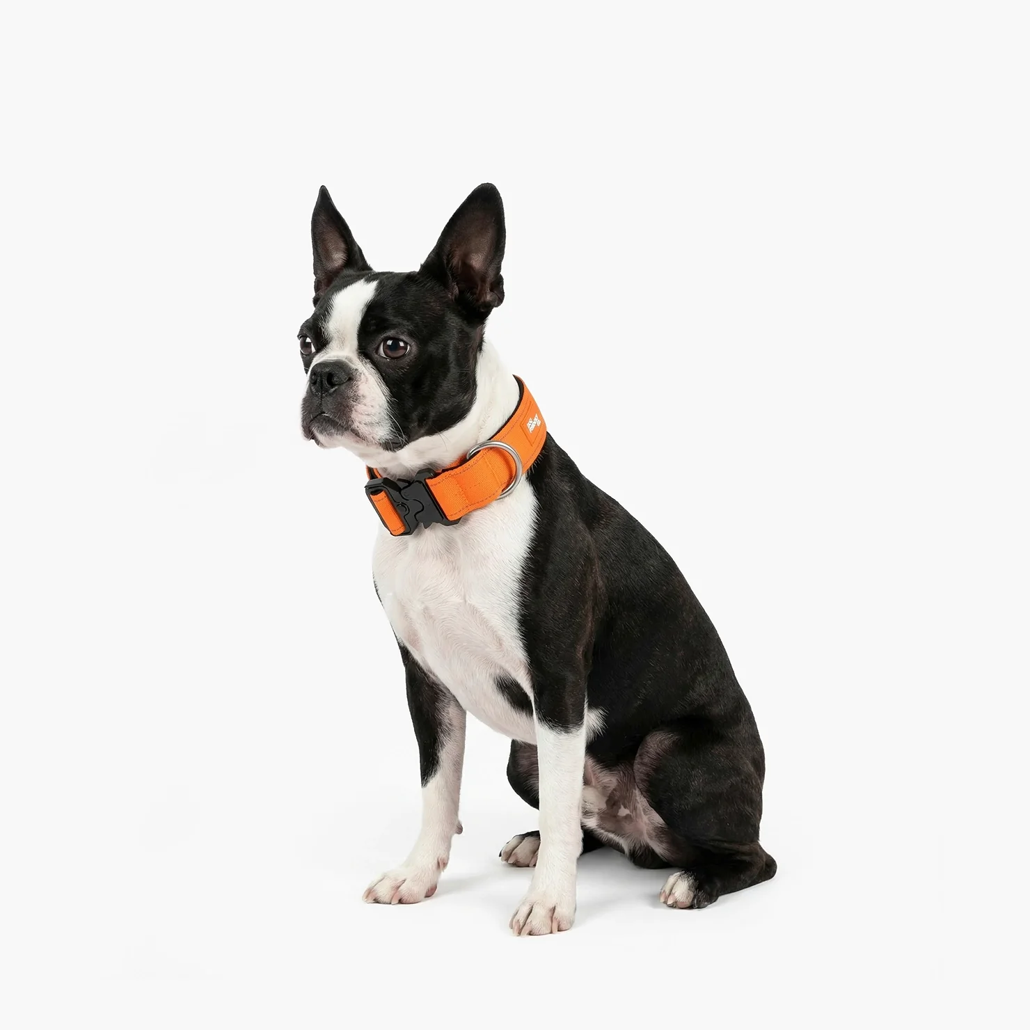 Tactical Dog Collar - Hi-vis Orange - Image 4