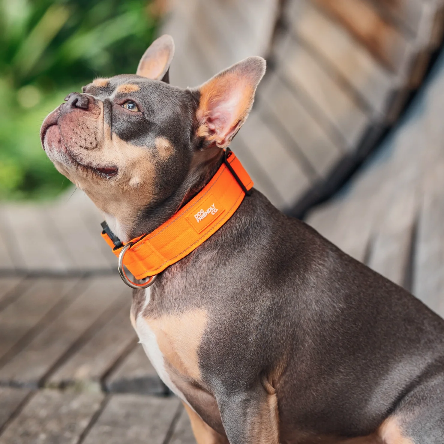 Tactical Dog Collar - Hi-vis Orange - Image 7
