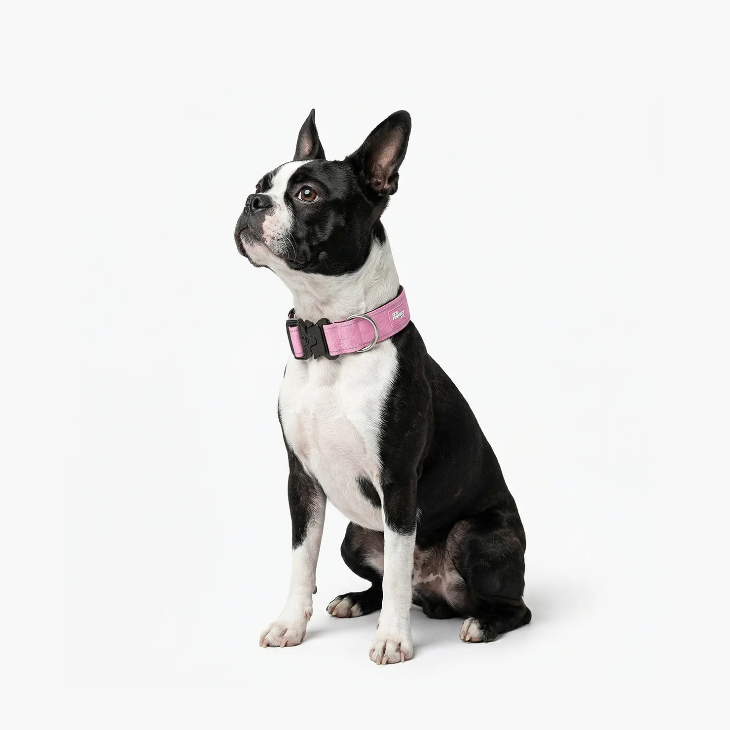Tactical Dog Collar - Pink - Image 4