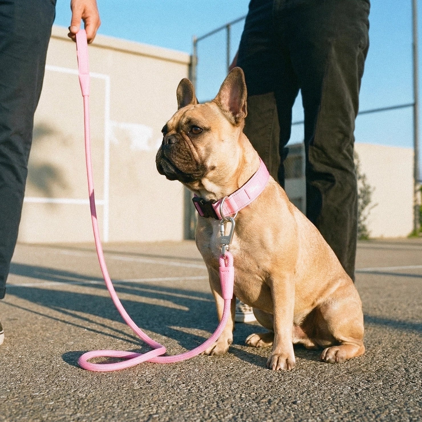 Tactical Dog Collar - Pink - Image 7