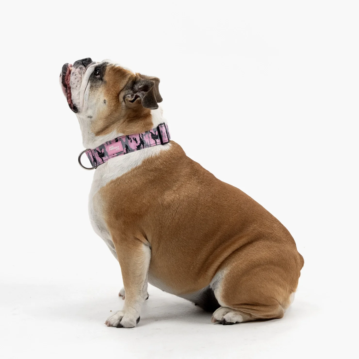 Tactical Dog Collar - Pink Camo - Image 3