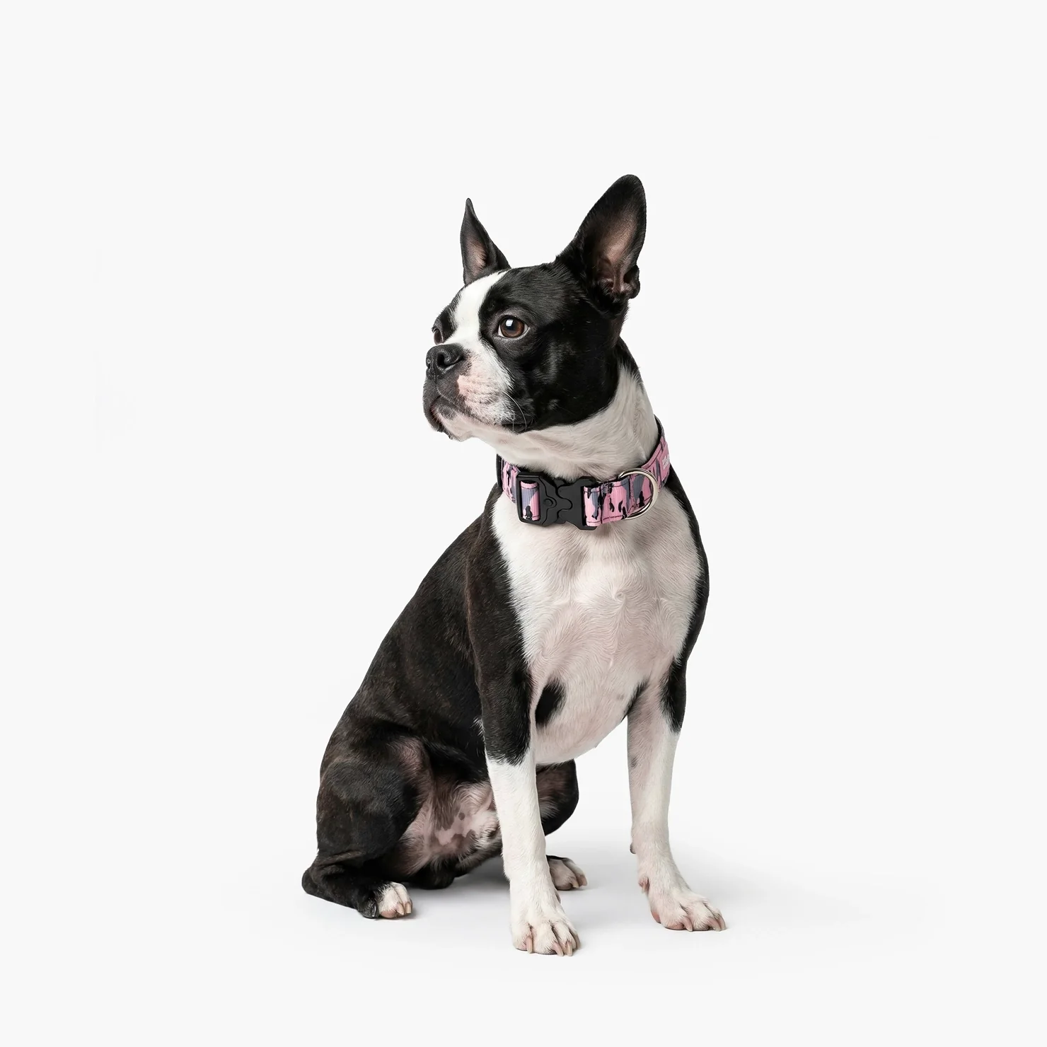 Tactical Dog Collar - Pink Camo - Image 4