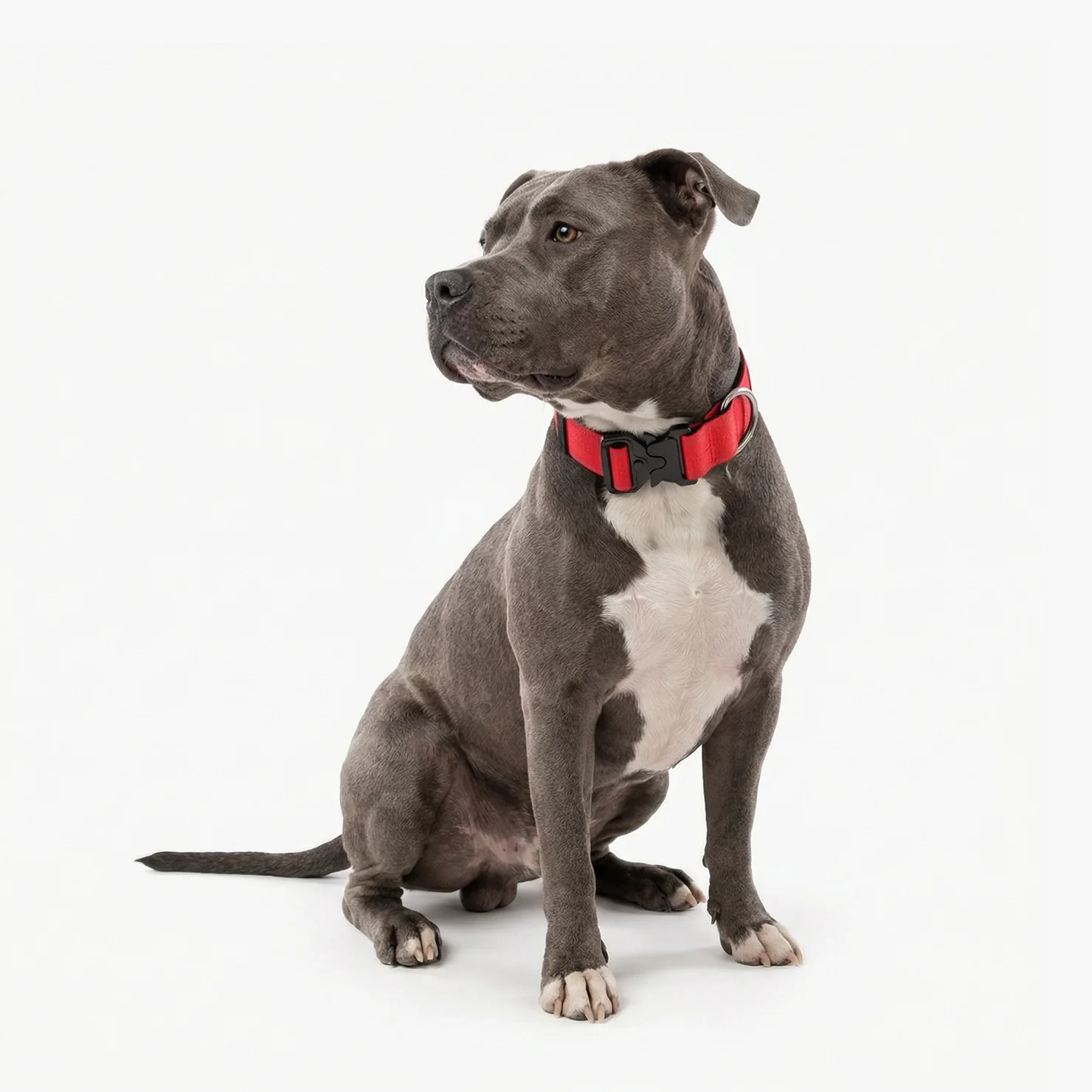 Tactical Dog Collar - Red - Image 3