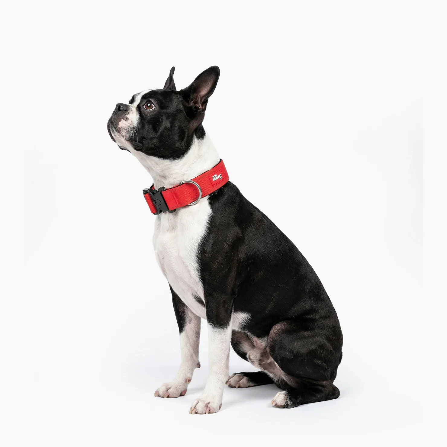 Tactical Dog Collar - Red - Image 4
