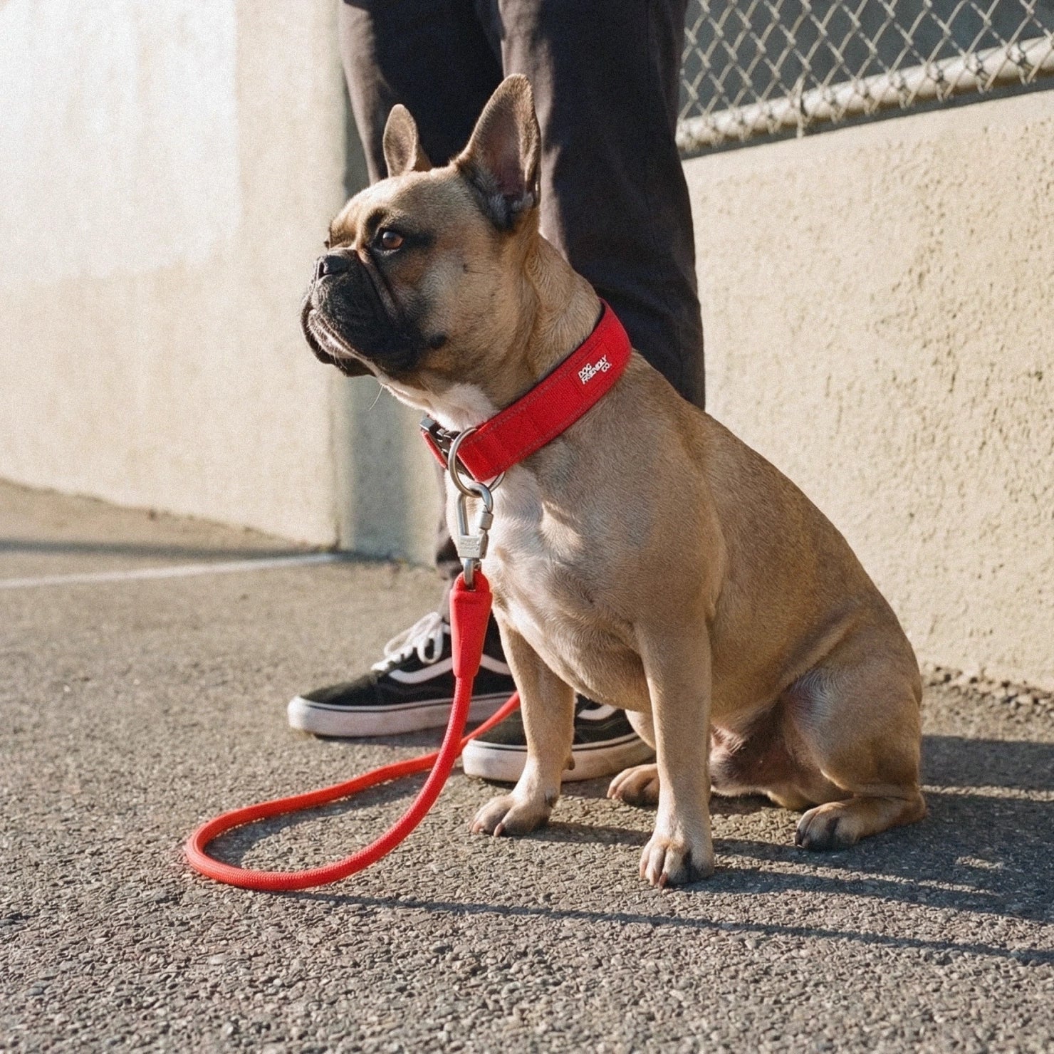 Tactical Dog Collar - Red - Image 7