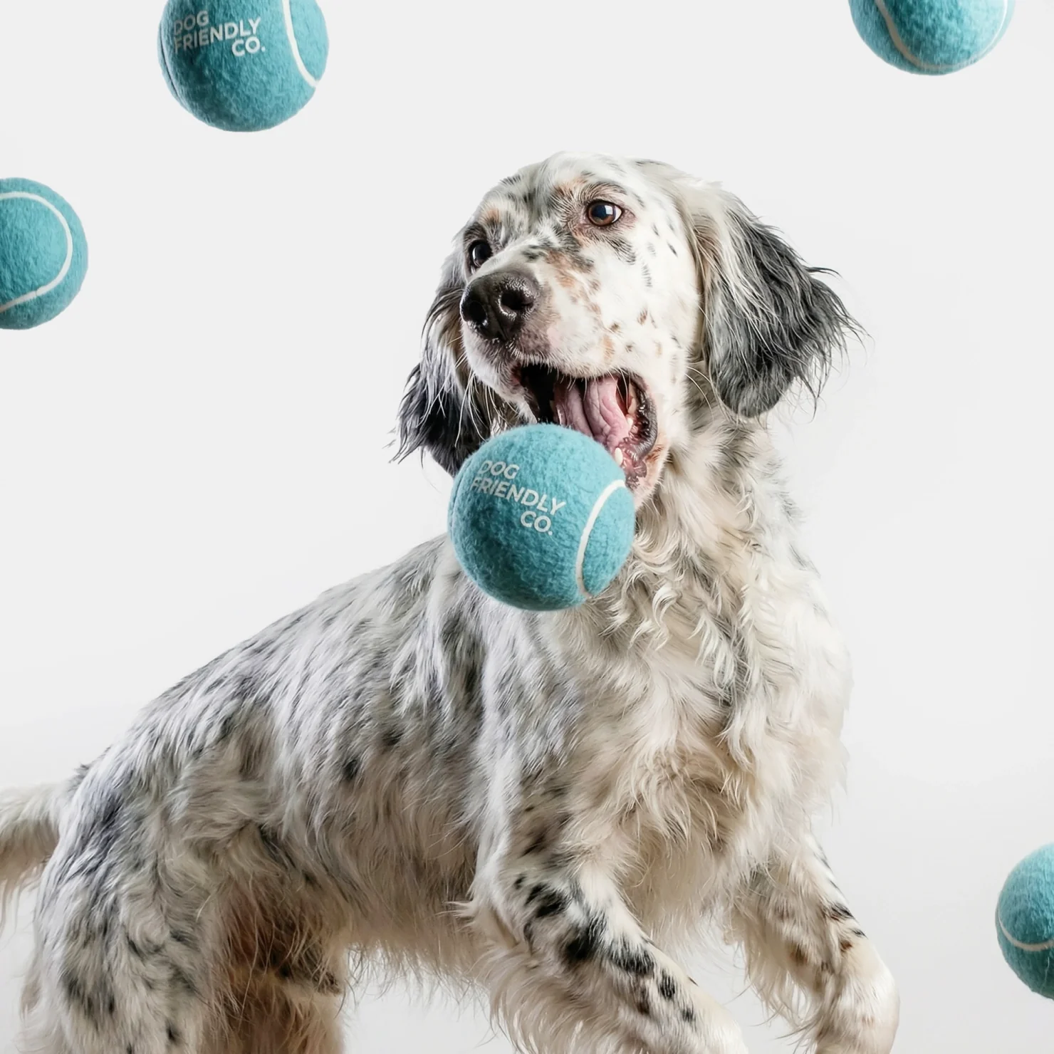 Tennis Balls - Image 4