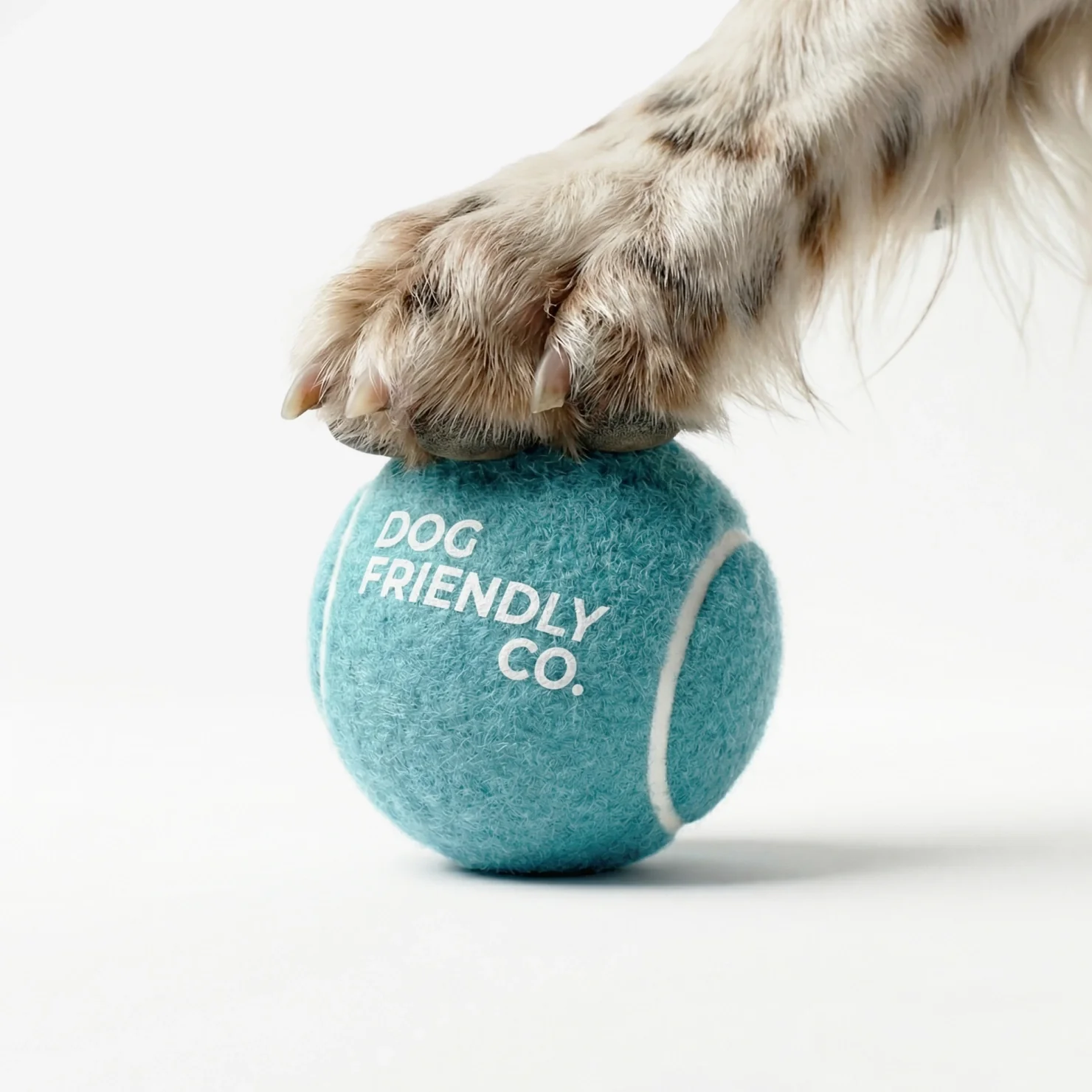 Tennis Balls - Image 5
