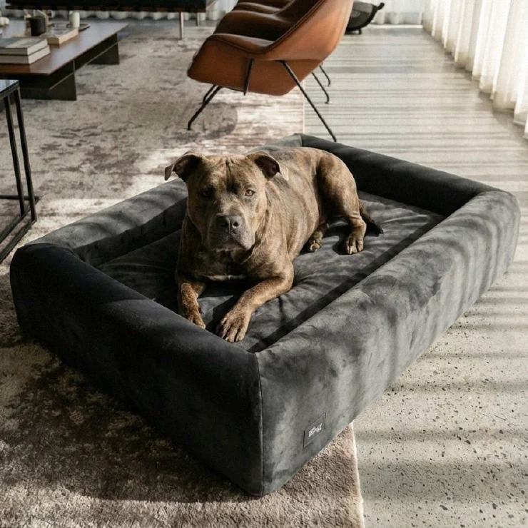 Velvet Easy Fit Dog Bed Cover - Charcoal - Image 5