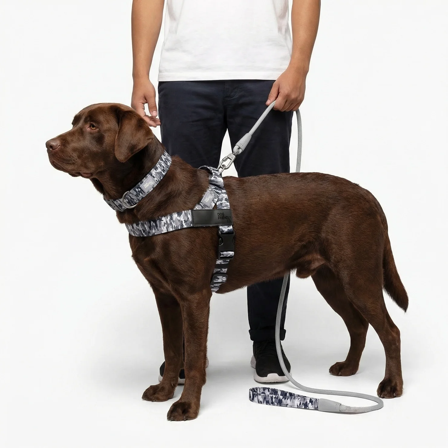 Ultimate No-Pull Bundle - Grey Camo - Image 16