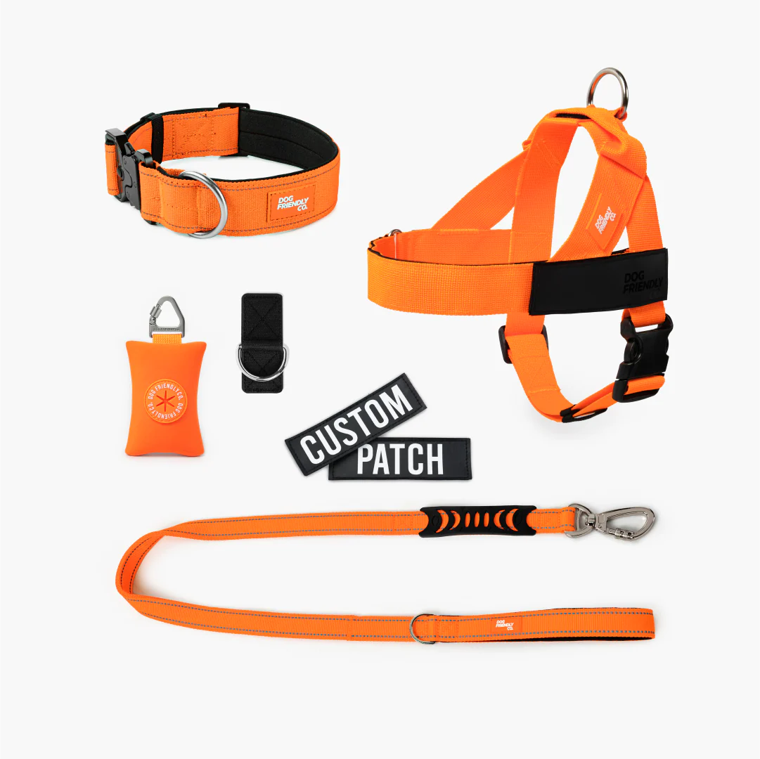 Ultimate No-Pull Bundle - Hi-Vis Orange - Image 12