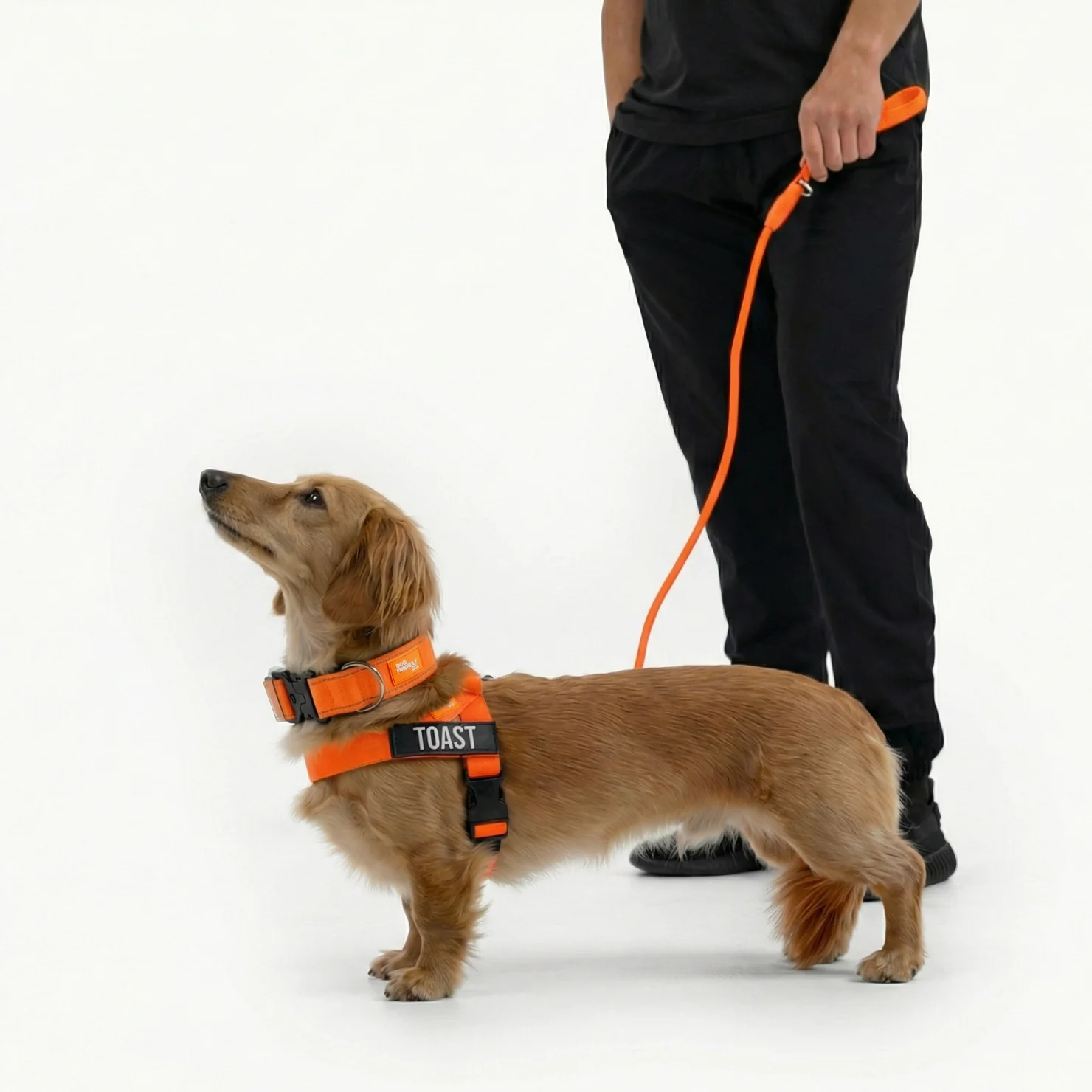 Ultimate No-Pull Bundle - Hi-Vis Orange - Image 17