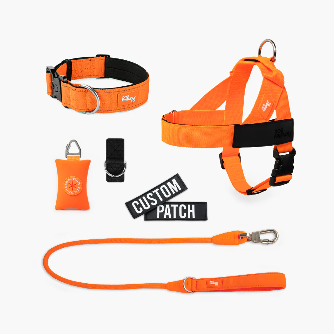 Ultimate No-Pull Bundle - Hi-Vis Orange - Image 22