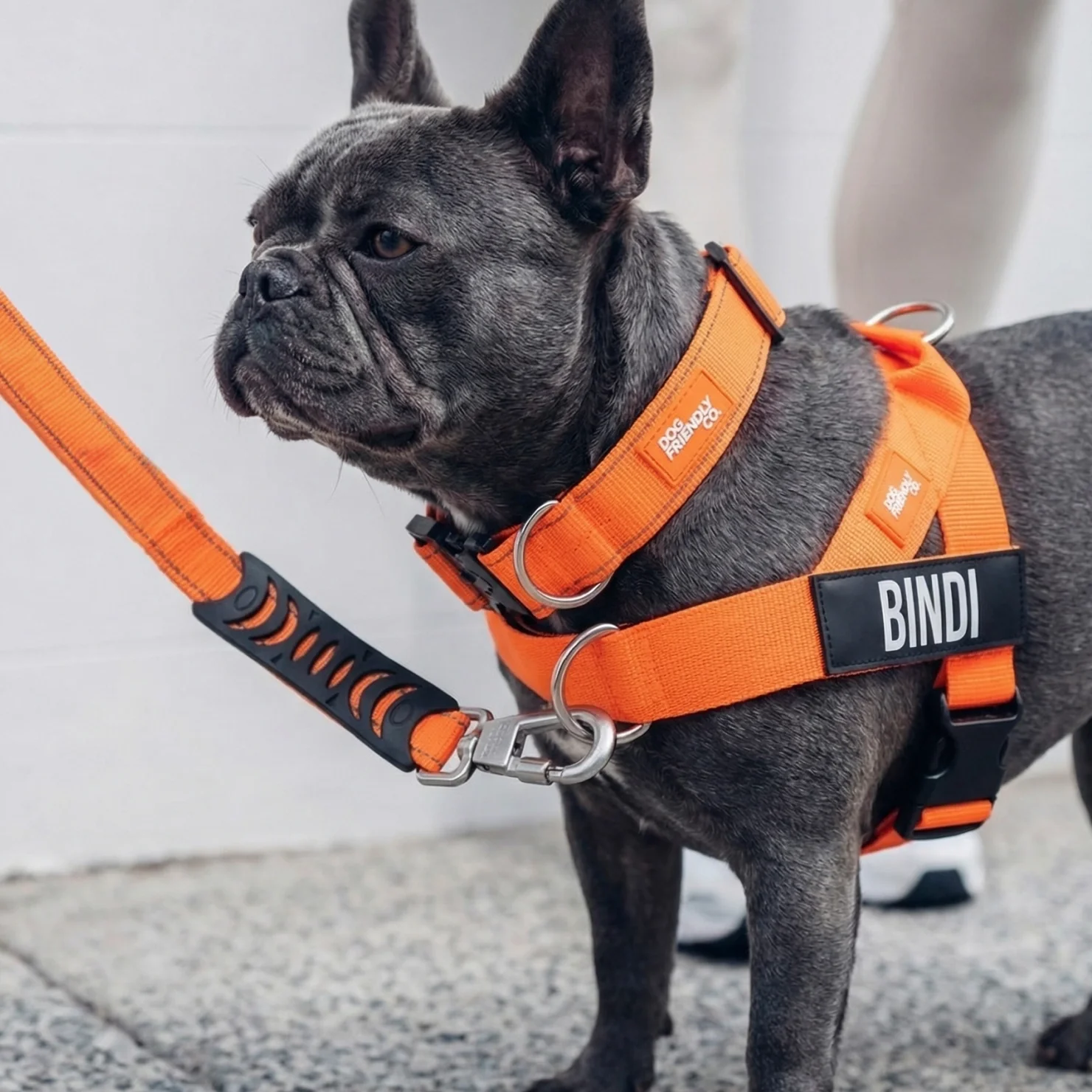 Ultimate No-Pull Bundle - Hi-Vis Orange - Image 29