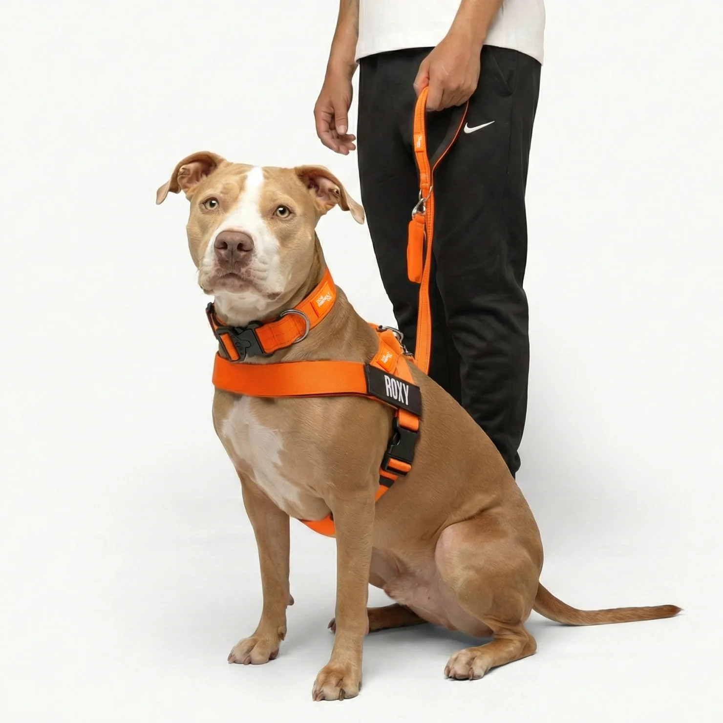 Ultimate No-Pull Bundle - Hi-Vis Orange - Image 6