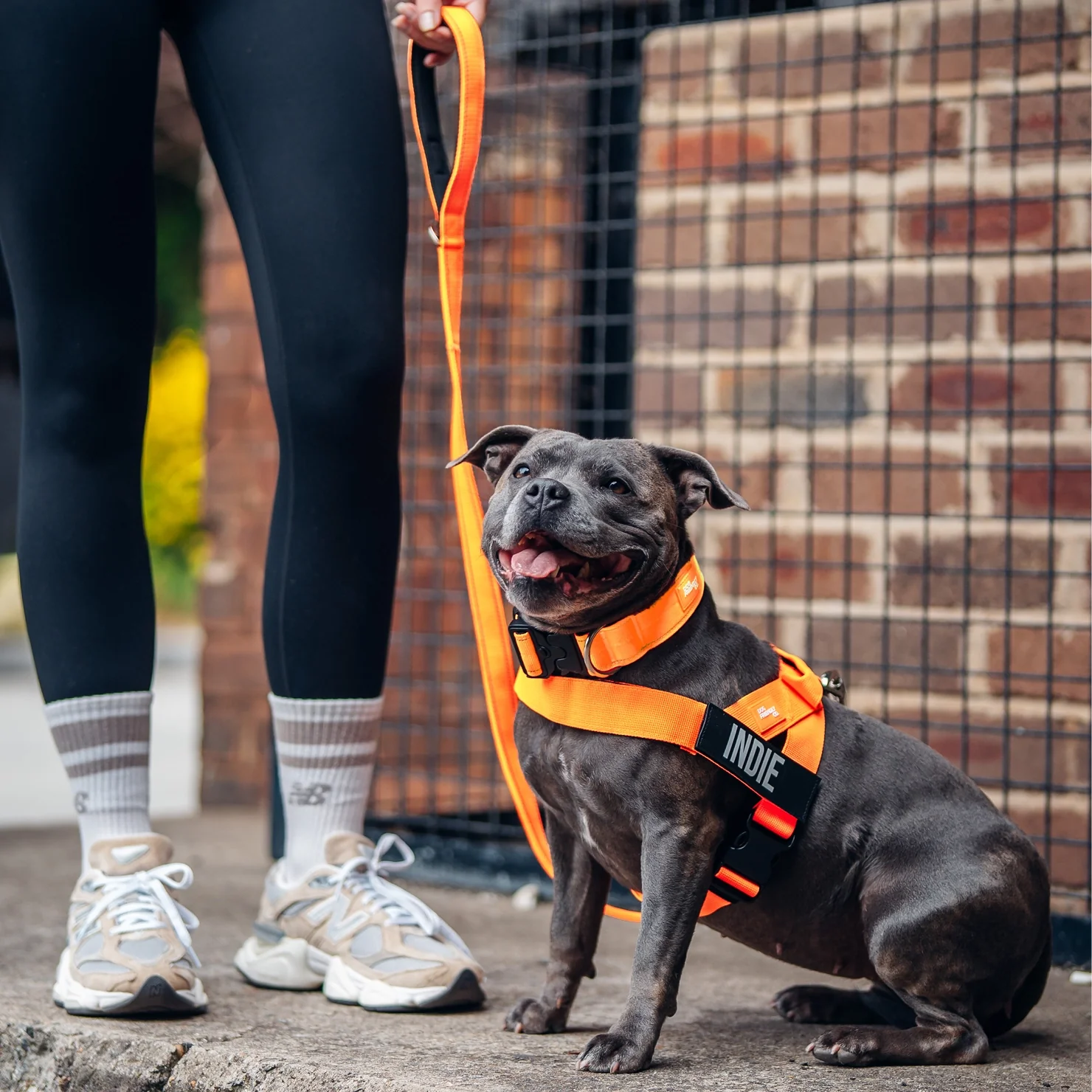 Ultimate No-Pull Bundle - Hi-Vis Orange - Image 8
