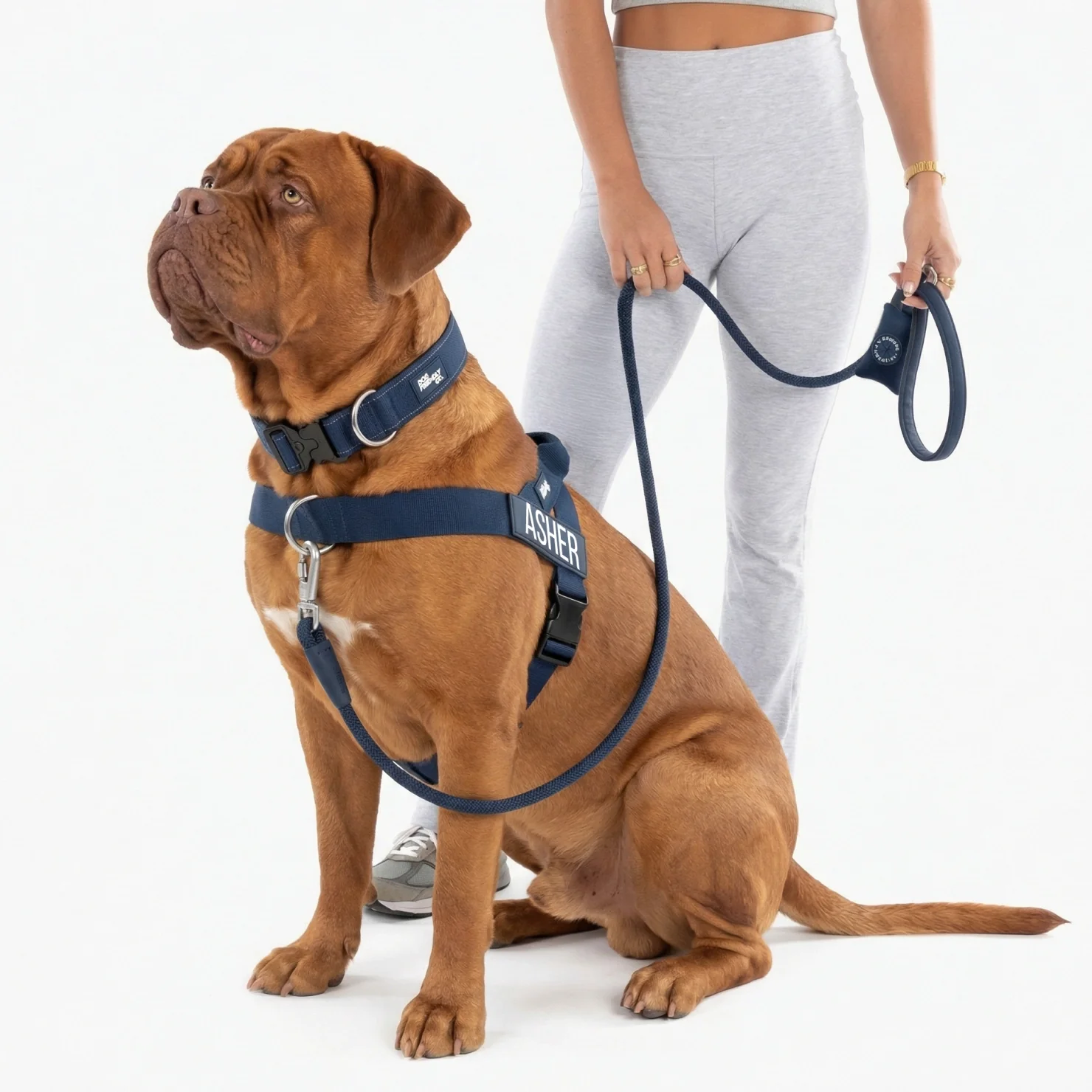 Ultimate No-Pull Bundle - Navy Blue - Image 6