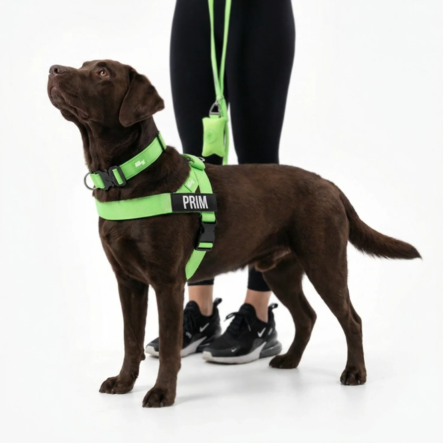 Ultimate No-Pull Bundle - Neon Green - Image 6