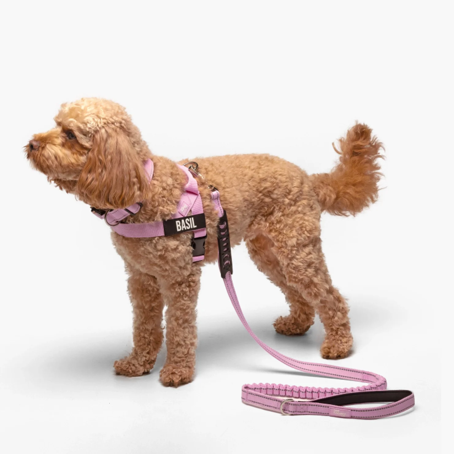 Ultimate No-Pull Bundle - Pink - Image 17
