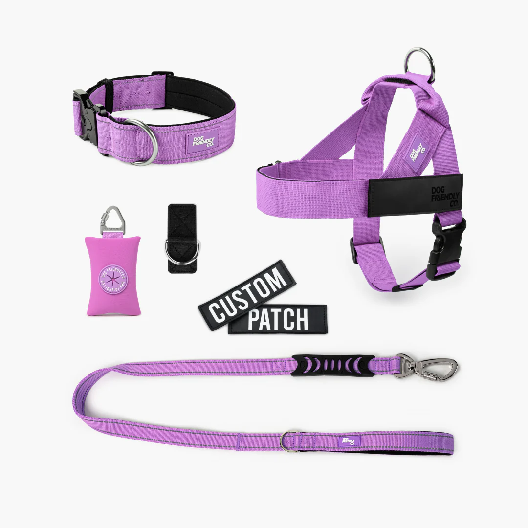 Ultimate No-Pull Bundle - Purple - Image 12
