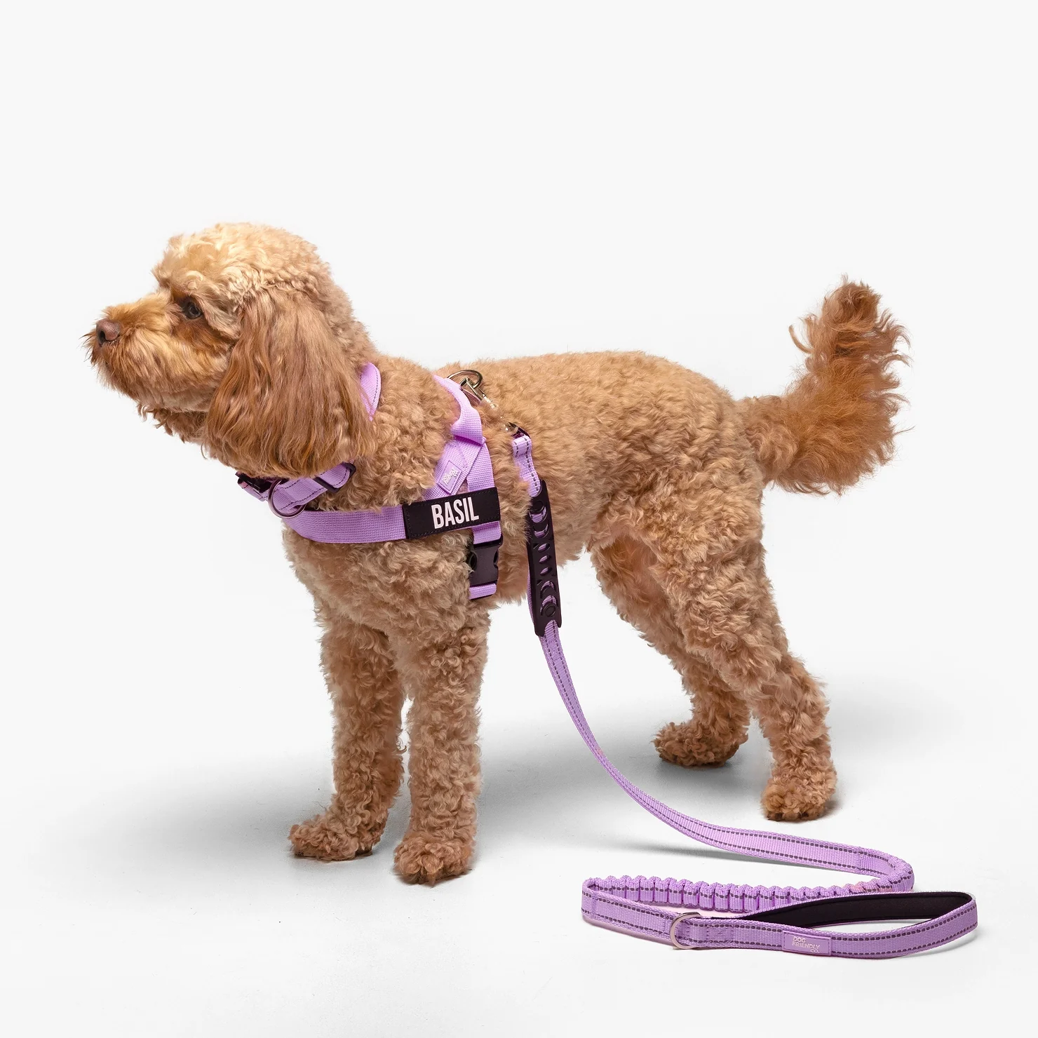 Ultimate No-Pull Bundle - Purple - Image 27
