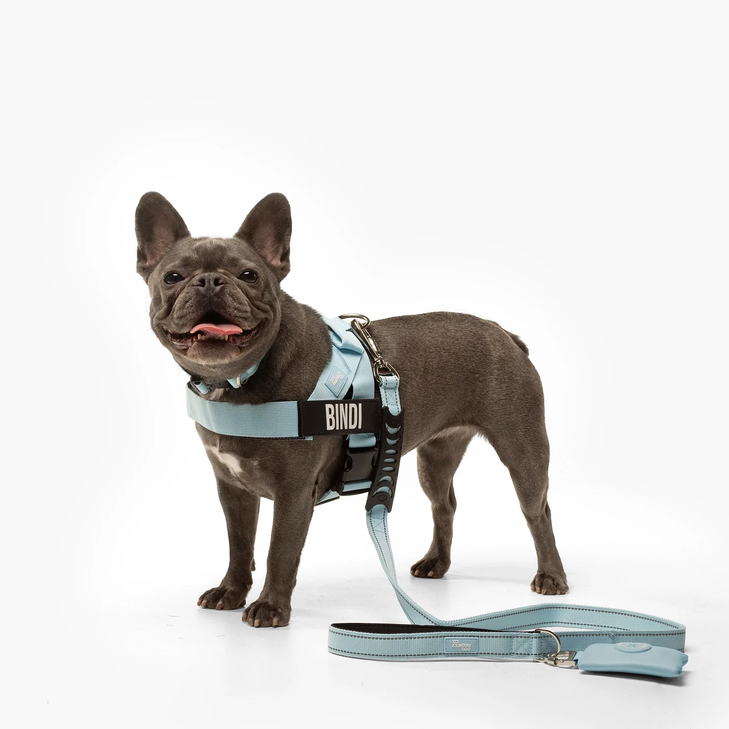 Ultimate No-Pull Bundle - Sky Blue - Image 7