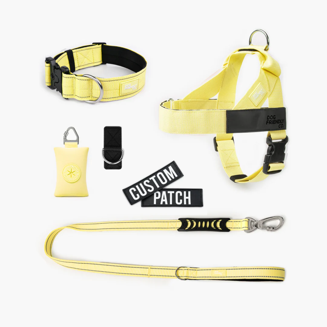 Ultimate No-Pull Bundle - Yellow - Image 12
