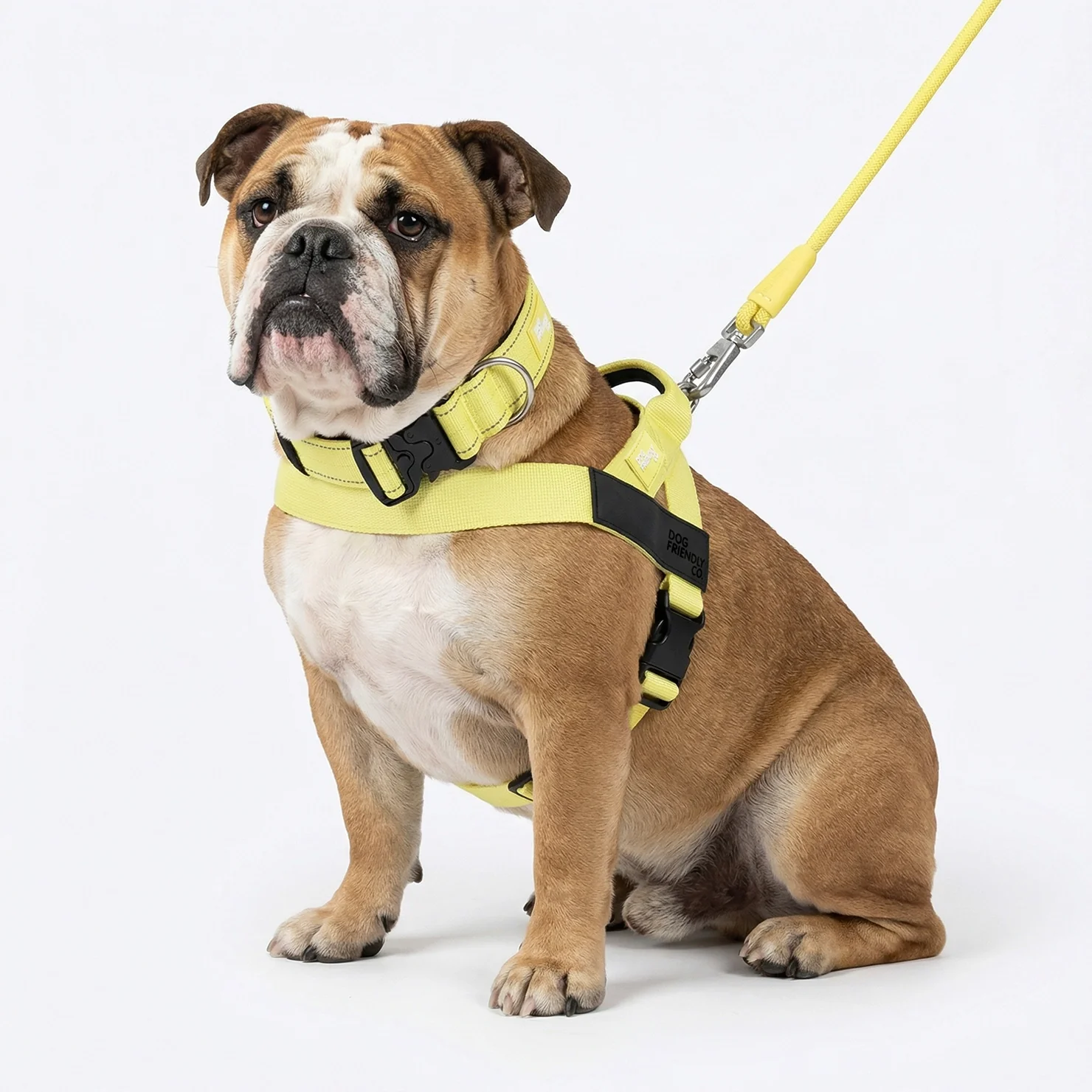 Ultimate No-Pull Bundle - Yellow - Image 16