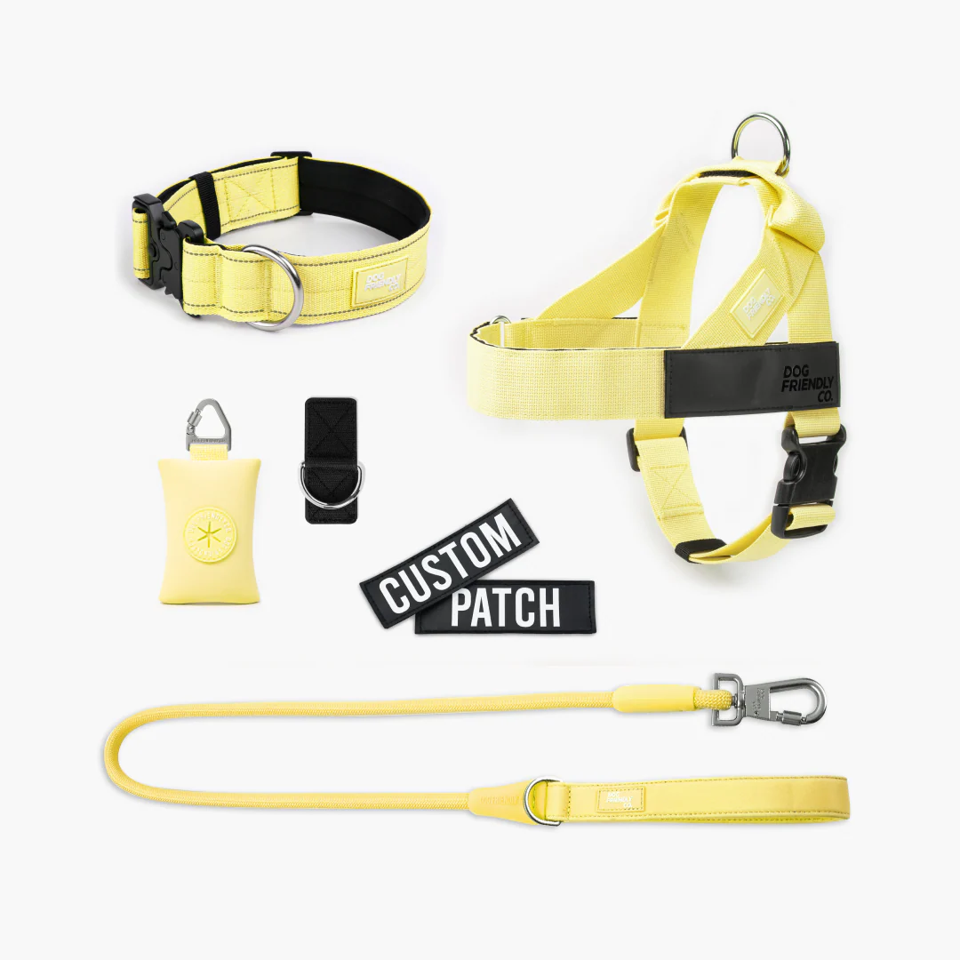 Ultimate No-Pull Bundle - Yellow - Image 22