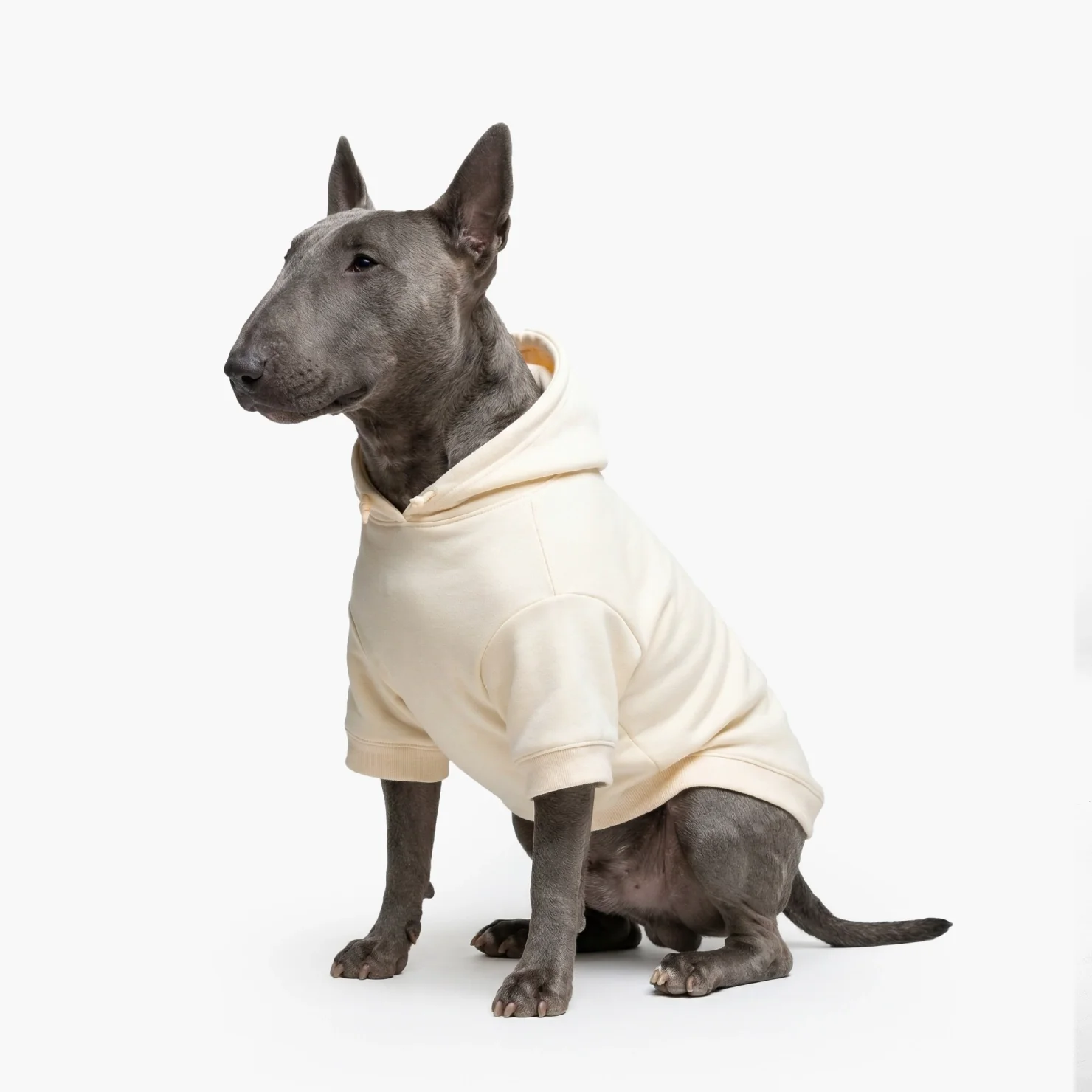 Winter Dog Hoodies - Beige - Image 4