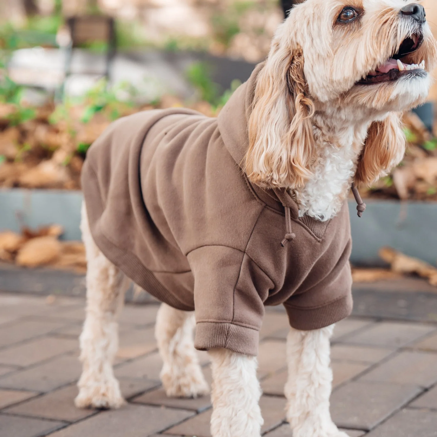 Signature Dog Hoodie - Brown - Image 8