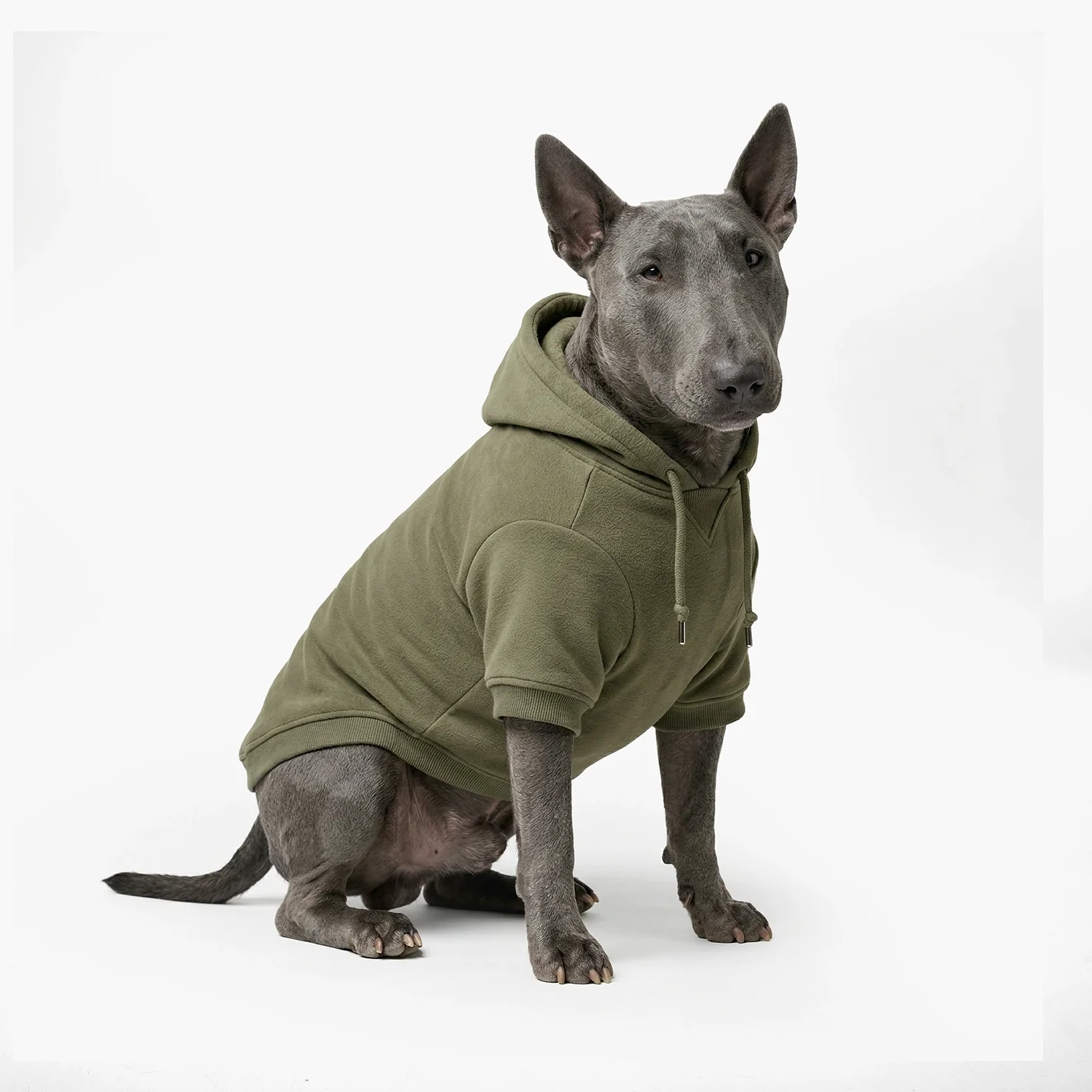 Signature Dog Hoodie - Khaki - Image 4