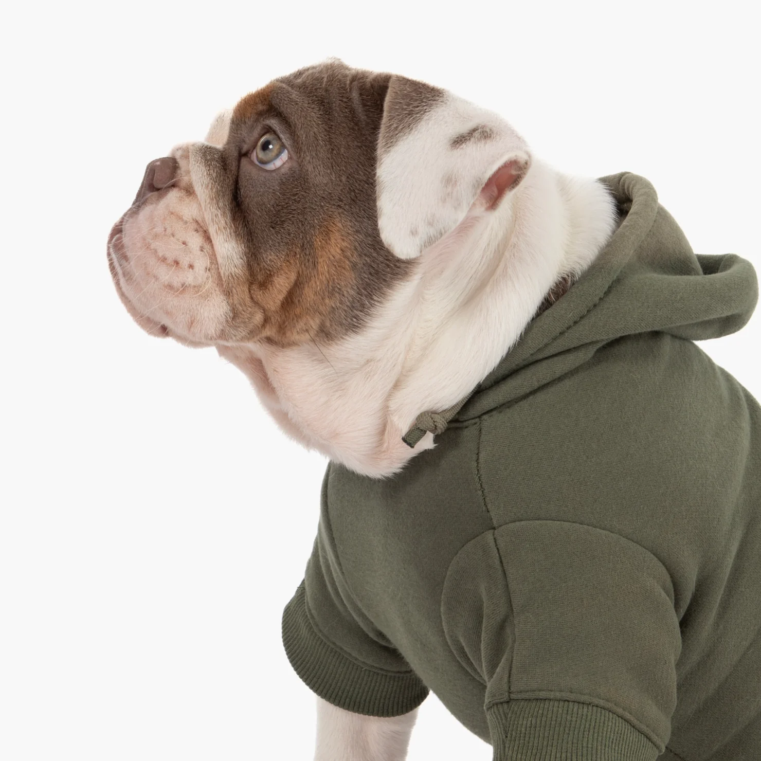 Signature Dog Hoodie - Khaki - Image 5