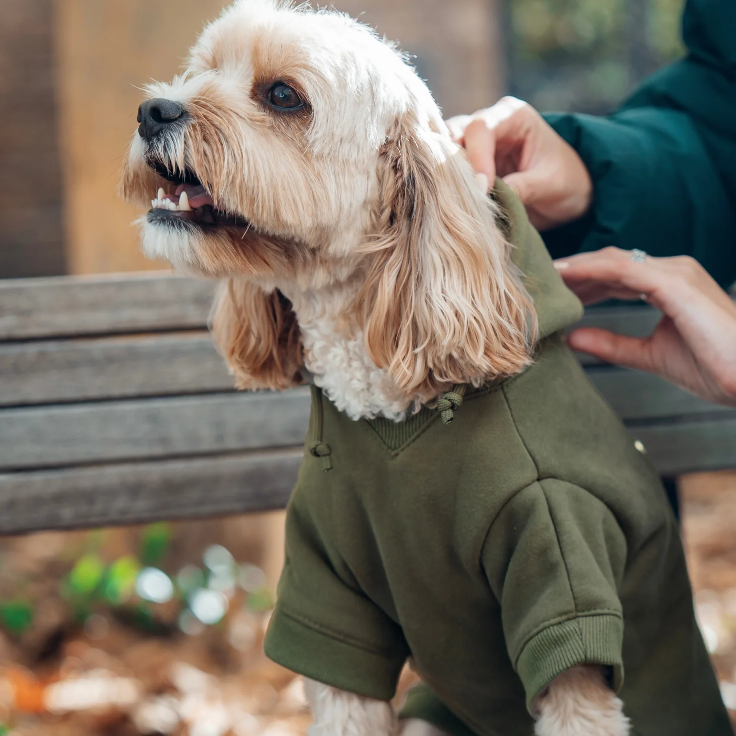 Signature Dog Hoodie - Khaki - Image 8