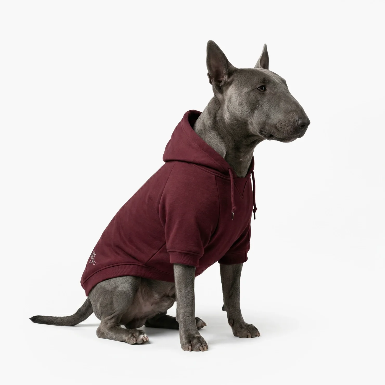 Signature Dog Hoodie - Maroon - Image 4